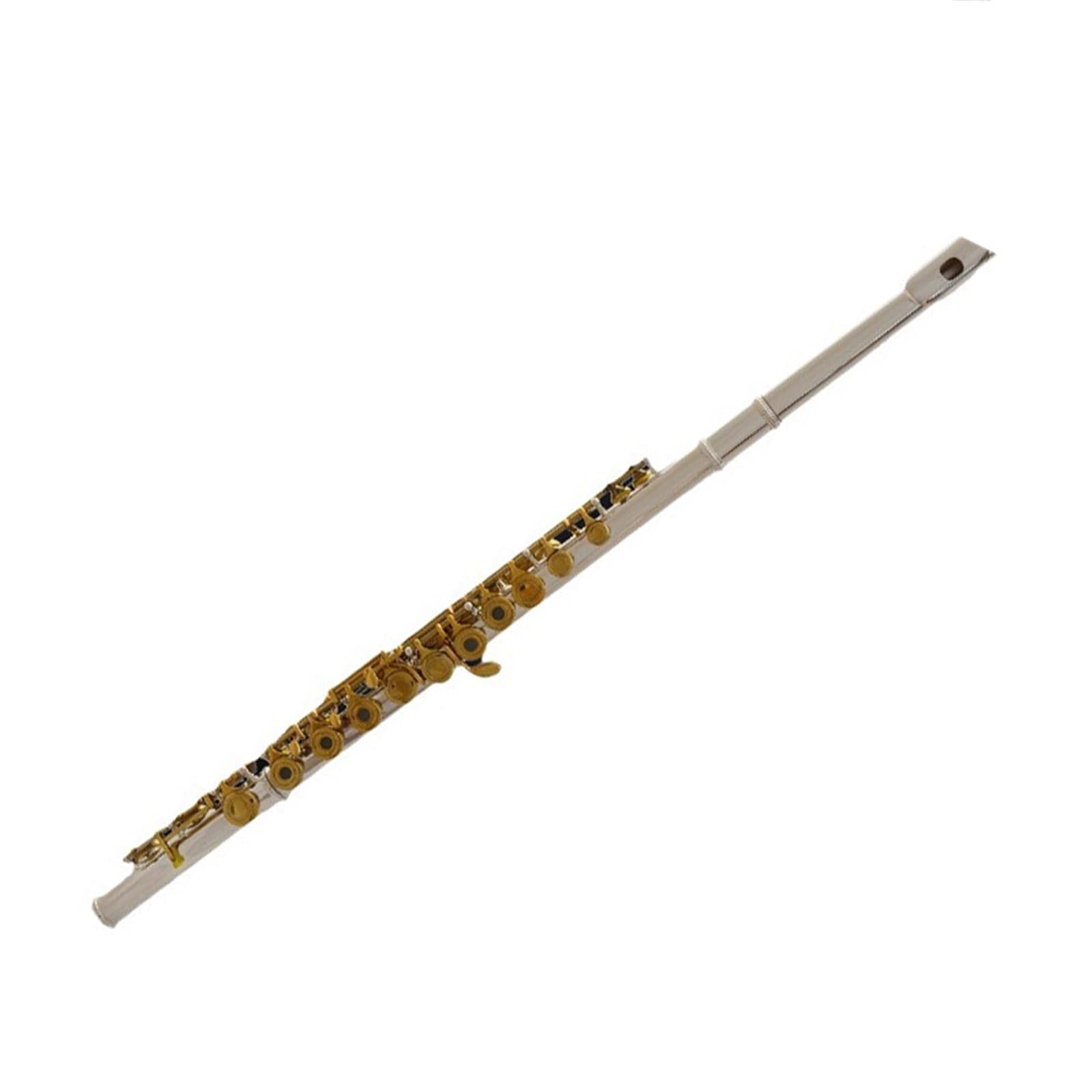 Flauto Flauto traverso professionale bicolore placcato argento in Do