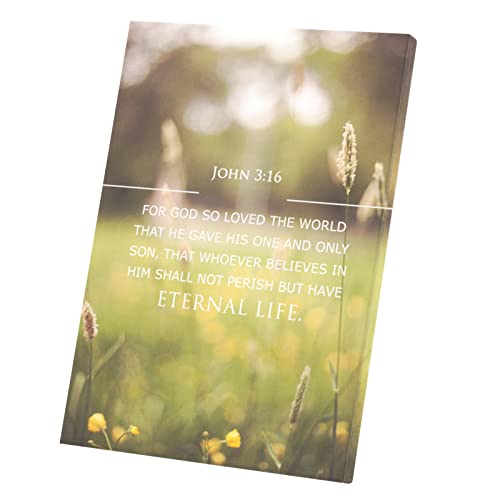 Toile Spirituelle Jean 3:16 Message Espoir Chrétien