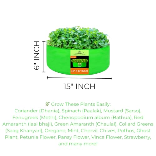 Image of Kingwell Grow Bag 15x6 inch Pack of 2 For Terrace Garden Leafy Vegetable Plant Grow Bags Fruits Growing Containers For terrece Gardening