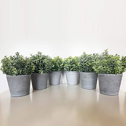 Wellhome Kunstmatige planten, gesorteerd, 18 cm, met pot in grijs, verpakking van 6 St016, 22 x 6 cm