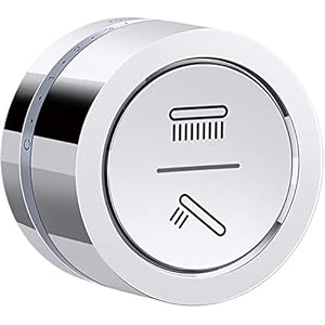 Kohler 29202-CP DTV Mode™ Dual-outlet shower digital interface