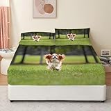 [Impression Bien Conçue] : Technologie d'impression numérique, le modèle est lumineux, moderne, mode, adapté aux adultes et aux étudiants, aux universités, à un beau / cadeau chaud / de noël pour n'importe quel jour / anniversaire etc.