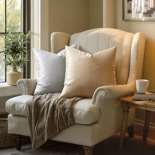Image of MIULEE Velvet Throw Pillow Covers 18x18 Inch, Pack of 2 - Champagne, Super Soft Decorative Square Cushion Cases Modern Luxury Home Decor for Sofa, Couch, Bed, Chair with Invisible Zipper