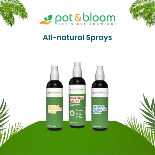 Image of Pot and Bloom Mealy Bug Buster Spray 100 ML | Natural Germs and Fungus Killer for Plants| No Harmful Chemicals| Indoor & Outdoor Plants| Ready to Use| Helps in Plant Growth