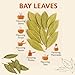 Bay Leaves – 0.5 oz | Whole Dried Laurel Leaves for Cooking | Aromatic Herb & Spice | Non-GMO, All-Natural, Premium Quality by Mecca Foods
