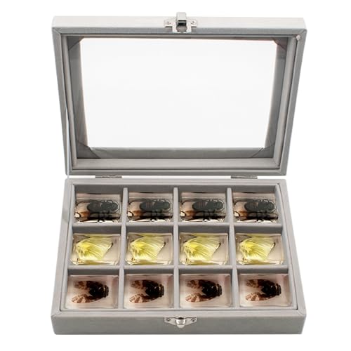 Image of Insect Resin Specimen Box with 12 Grids, Clear Top Insect Specimen Storage Box for Biology Science (Box Only), Grey