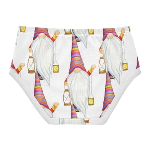 Toddlers Underwear Floral 2t Cotton Panties Little Girl Flower Briefs Kids Undies Whimsical Cute Gnomes White2