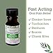 Quantum Health Canker Care+ Oral Pain Relief Gel Lysine Provides Fast Soothing Protective Mouth Care Herbal-Based Formula Relieves Canker Sore & Toothache - Fresh Natural Mint Flavor - 0.33 Ounce
