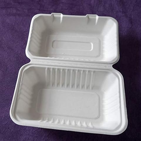 100 Bagasse Biodegradable Takeaway Boxes Cover