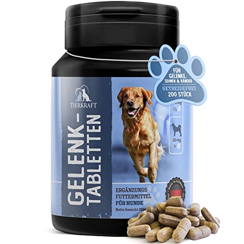 Tierkraft Gelenktabletten für Hunde - Made in Germany - Gelenktabletten Hund mit Grünlippmuschel - Teufelskralle Hund - MSM Hund & Grünlippmuschel Hund - 200 Gelenk- & Knochenschutz Tabletten