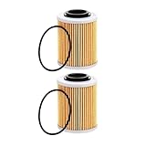 Motorrad Dirt Bike Ölfilter Fit for 2 3 Up 600 900 1000 X3 Max 570 650(2 Pcs)