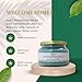 Walt’s Wonderful World – Green Clover & Aloe Soy Candle, Clean Fresh Home Scent, Fresh & Spa-Inspired Aromatherapy Candle, Long-Lasting Room Fragrance