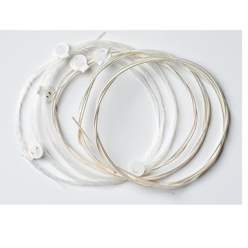 2843 Classical Guitar Strings Set – Clear Nylon with Silver-Plated Wound Bass Strings (Normal Tension, Balanced Tone & Durability)