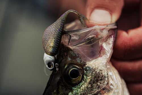6th Sense Clobber Minnow 2" Soft Plastic Lure – Bluegill & Shad Forage Imitation, Forward-Facing Sonar Efficiency, Ideal for Crappie, Largemouth, Smallmouth - Thumbnail 3