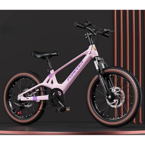 GrdMis�q���p���]�ԁA18/20/22�C���`�A�Ռ��z�����]�ԁA�ω׏d100kg ���y�ʁA�}�O�l�V�E���������}�E���e���o�C�N�A�j�̎q�A���̎q�A���w���A���w���ɓK���Ă���A�X����ʋ΂ɂ����g�����������܂� (�s���N + �σM�A + �X�|�[�N�z�C�[��,2