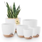 Bamworld – Bamworld Blumentöpfe 6 Set Selbstbewässernd Weis 12.7cm/14cm