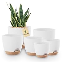 Bamworld – Bamworld Blumentöpfe 6 Set Selbstbewässernd Weis 12.7cm/14cm