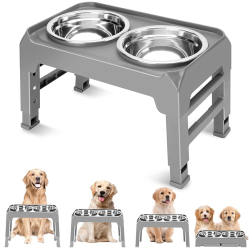 Top 10 Elevated Dog Food Bowls for Healthy and Happy Pups Our Buying
