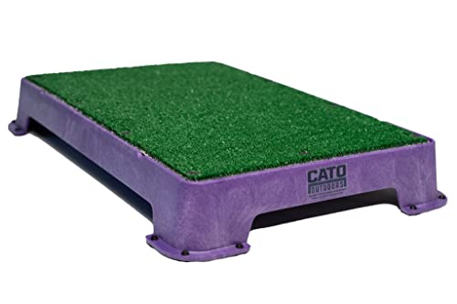 Cato Board - Dog Training Platform (Purple, Turf Surface)