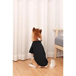 Dog-Shirts-2pcs-Blank-Shirts-Soft-for-Small-Medium-Large-Dogs-and-Cat-Soft-and-Breathable-Apparel-Shirts - Cucciolini Doodles   Dog-Shirts-2pcs-Blank-Shirts-Soft-for-Small-Medium-Large-Dogs-and-Cat-Soft-and-Breathable-Apparel-Shirts