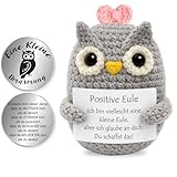 Tixlux Pocket Hug Positive Eule, Kreative Strickwolle Eulen- Dekofigur und Kleine Umarmung Glücksbringer, MutmacherGeschenk, Gute Besserung Geschenk, Einschulung Geschenk Rosa