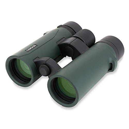 Carson Rd Series 8X42Mm Open-Bridge Waterproof High Definition Full Sized Binoculars (Rd-842) #TOP4