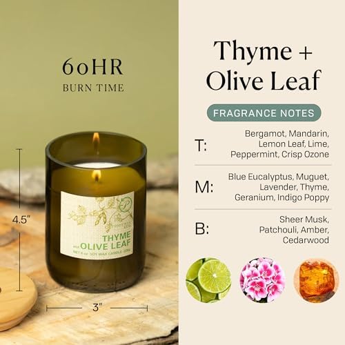 Paddywax Eco Collection Scented Soy Wax Candle in Glass Jar, Thyme & Olive Leaf Fragrance, Green Vessel with Wood Lid, 8 oz - Thumbnail 4