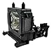 IET Genuine OEM Replacement Lamp for Sony VPL-HW45ES, VPL-HW65Es, VPL-VW65ES Projector with One Year Warranty (Power by Philips Bulb Inside)