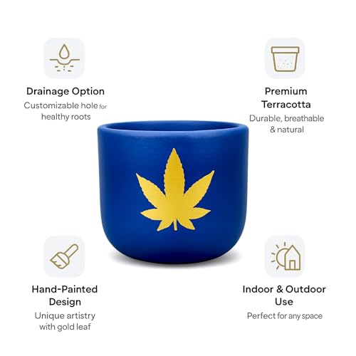 Image of Urban Plant Terracotta Pot - Trendy Planter for Modern Home & Garden Spaces (Bluesphere Terracotta Pot - Royal Blue)