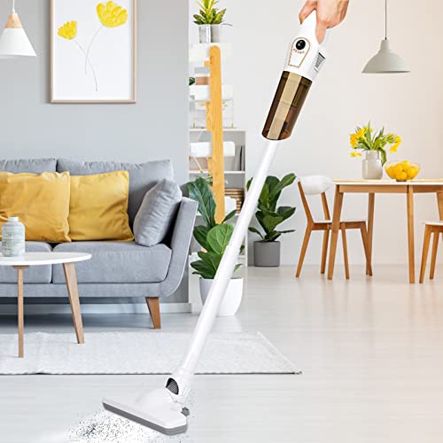 Top 10 Best Vaccum For Wood Floors Reviews & Buying Guide Katynel