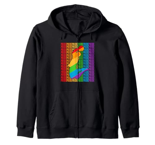 Gay Basketball Pride Month LGBT Rainbown Flag Sweat à Capuche