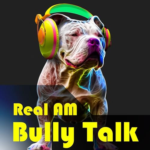 『Real AM Bully Talk』のカバーアート
