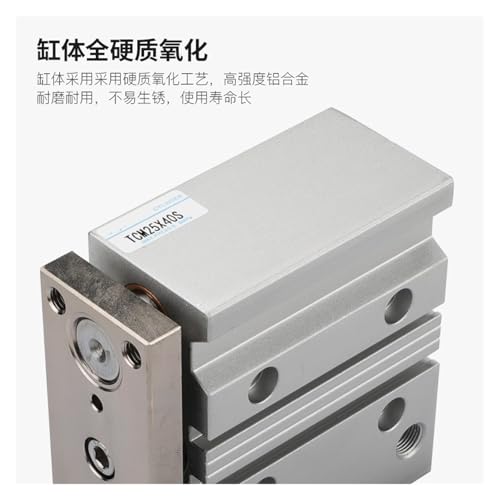 Vérin de guidage pneumatique rigide pour stopper la torsion TCM