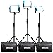 Dracast Plus Series LED500 Daylight LED 3 Light Kit with V-Mount and Gold Mount Battery Plates and Light Stands