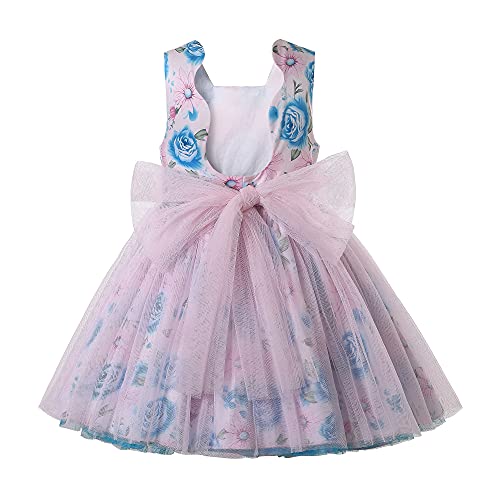 Pettigirl Girls Teens Vintage Floral Ruffle Tulle Sundress Clothes Toddler Princess Pageant Party Boutique Dress2