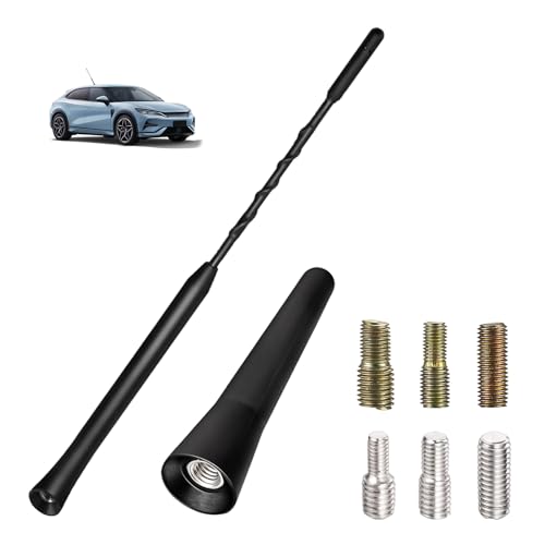 2 Piezas Antena Coche Universal, Antena Radio Coche 6.5cm y 23cm para FM Am Dab, Mini Corta Repuesto para Automóviles Compacta Resistente al Agua Desgaste Alta Compatibilidad con Tornillos M4 M5 M6