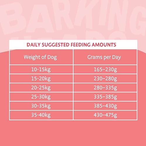 Barking Heads Complete Trockenfutter für Hunde, 2kg, für Erwachsene, All Hounder Hair Necessities, Lachs, natürlich, getreidefrei, hypoallergen für Haut und Fell, tierärztlich zugelassen