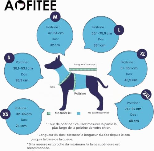 AOFITEE Gilet de Sauvetage pour Chien - Réglable Gilet de Natation pour Chien Haute Flottaison avec Poignée et Fermeture Éclair - pour Natation, Bateau, Plage, De Petite, Moyenne et Grande Taille – vue 2