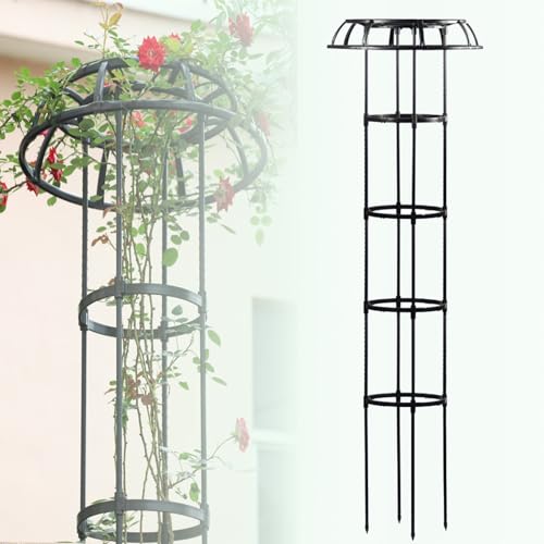 Treillis de jardin en métal pour plantes grimpantes et fleurs de rosiers
