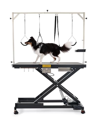 CO-Z Table de Toilettage Électrique 120×60CM