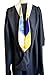 GRADWYSE Business Administration MBA Master Hood Graduation Master Degree Hood, Various College Colors Available Drab (Gold/Blue)