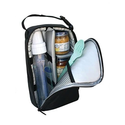 J.L. Childress Pack 'N Protect, Insulated Cooler Bag for Glass Baby Bottles and Food Containers, Portable Travel and On-The-Go Protection, Black