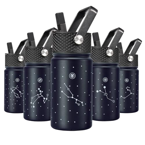 Image of BJPKPK Insulated Water Bottle, 15oz Stainless Steel with Straw Lid