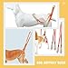 VANZACK Adjustable Dog Harness Pet Sling for Nail Trimming Dog Sling Carrier Lifter Comfortable Handle