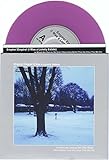 In Which the Choices We Didn't Make 7' (Pressed on Opaque Violet Vinyl) (Limited to /250 copies)