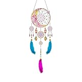 Ylkgogo Diamond Kits for Adults DIY 5D Full Drill Acrylic Dream Catcher by Diamonds Hanging Pendant Home Wall Decor (Moon)