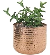 MyGift 6 Inch Copper Tone Metal Plant Pot with Hammered Design, Decorative Small Succulent Plante...