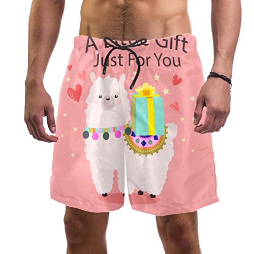 Short de plage homme maillot de bain motif alpaga fun