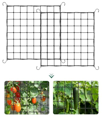 2 Rete Per Piante Rampicanti 80×80 Cm Espandibile Rete Di Sostegno Per Piante Riutilizzabile Tenda Per Piante Rete Elastica Dotato Di 4 Ganci Adatto Per Fiori, Frutta, Verdure Rampicanti