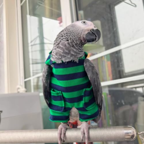 Fantasia de pássaro fofo, acessório para fotos de cosplay de papagaio, pano de pássaro para festas d